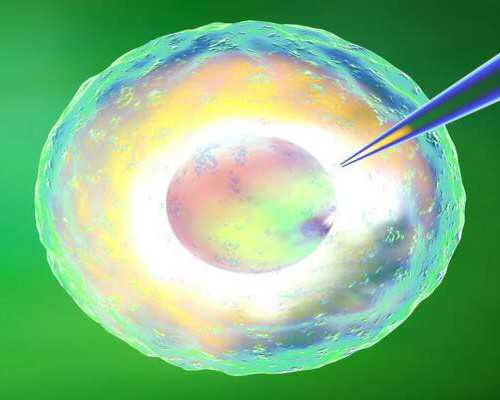 2026上海瑞金医院生殖中心有做第三代试管婴儿的资质吗?