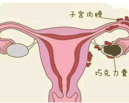 沈阳204医院二代试管转三代移植囊胚需要多久出结果？