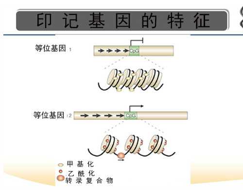 泰国第一试管中心试管技术怎么样？可以做HIV洗精术么？